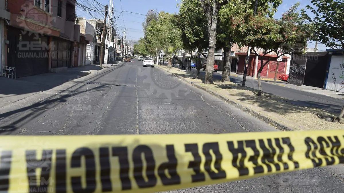 WhatsApp Image 2022-11-15 at 14.55.35