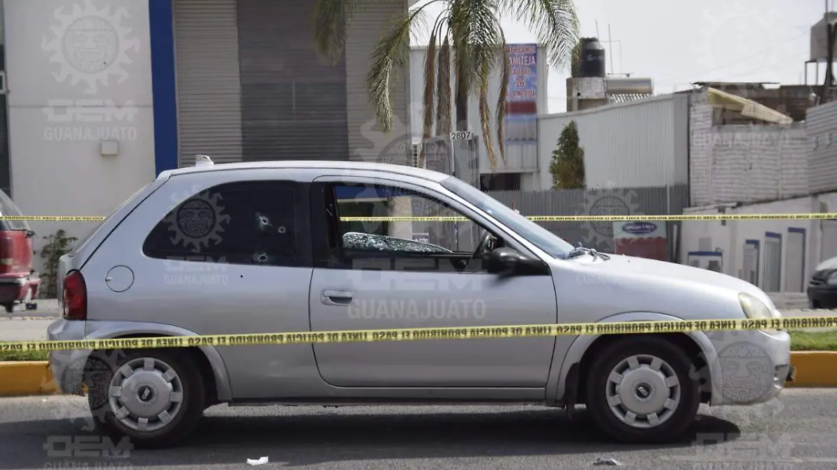 WhatsApp Image 2023-01-18 at 2.58.10 PM