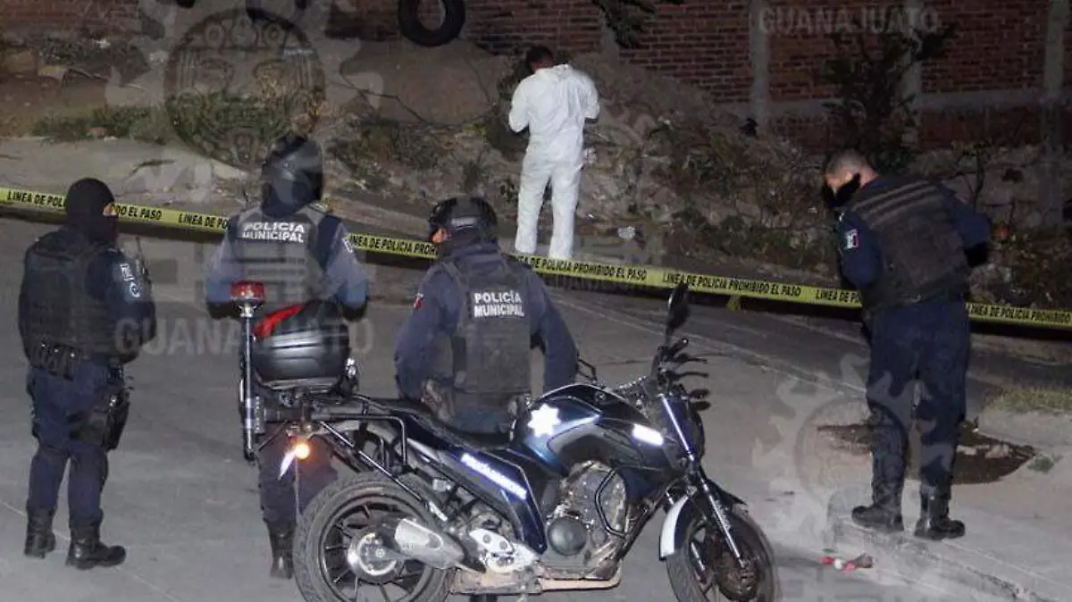 53057233-6579-4106-99bf-eb48c5d94a8b