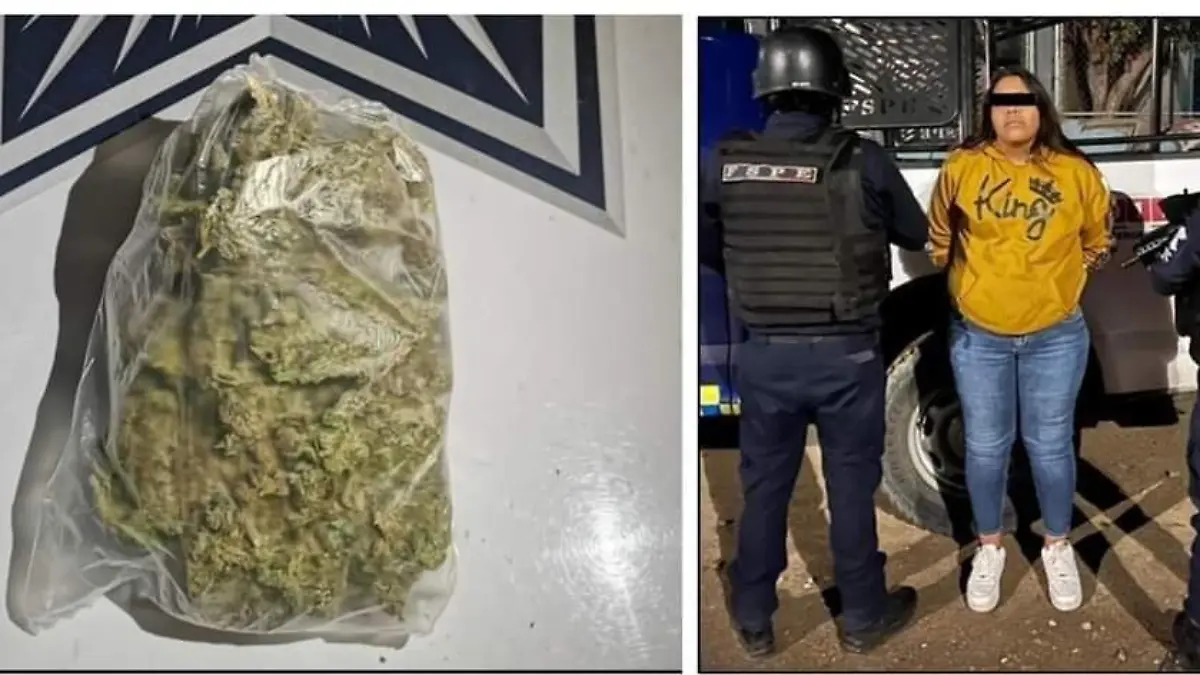 JARDINES DE JEREZ -CORTESÍA FSPE 