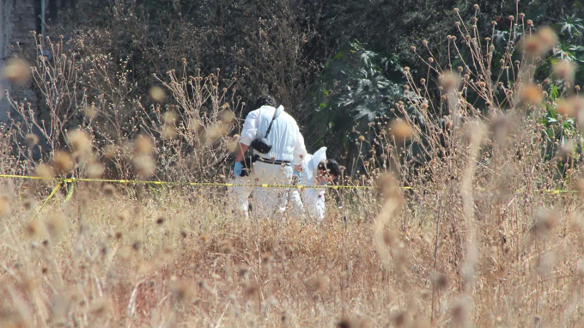 PURISIMA-ILUSTRATIVAS  (1)