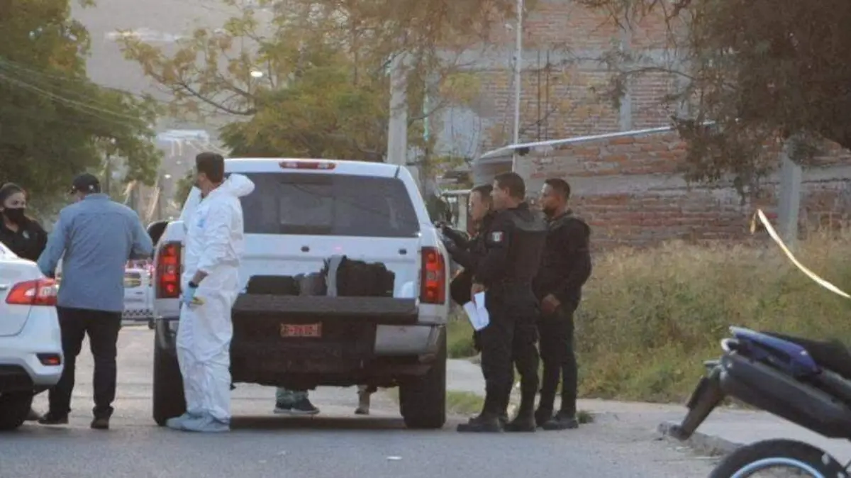 WhatsApp Image 2022-10-15 at 10.01.12