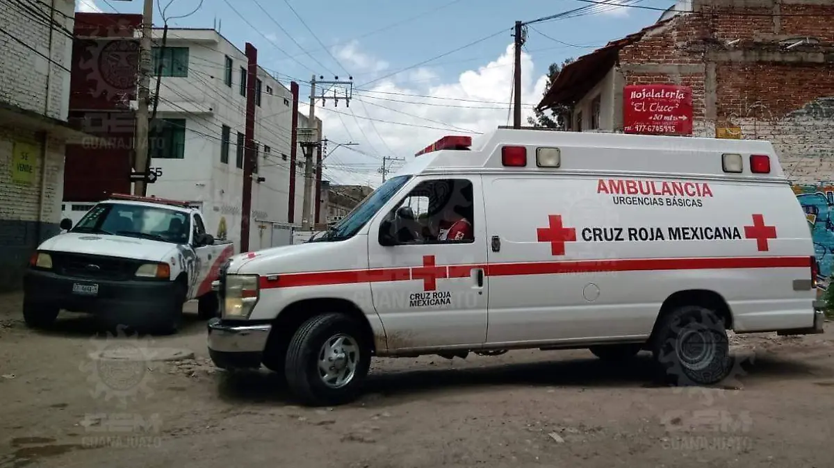 LESIONADOS ENJAMBRE (2)