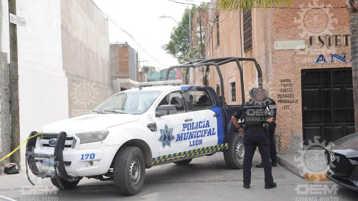 WhatsApp Image 2023-02-28 at 2.42.52 PM