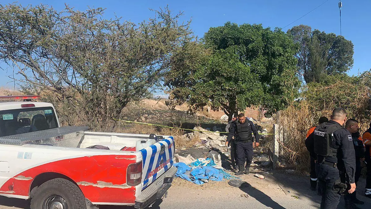 WhatsApp Image 2022-12-06 at 16.51.22