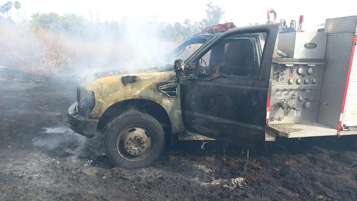 WhatsApp Image 2022-01-28 at 12.37.38 PM