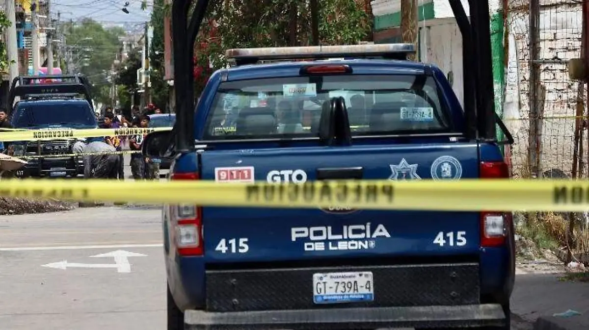 ilustrativa anexo león uno