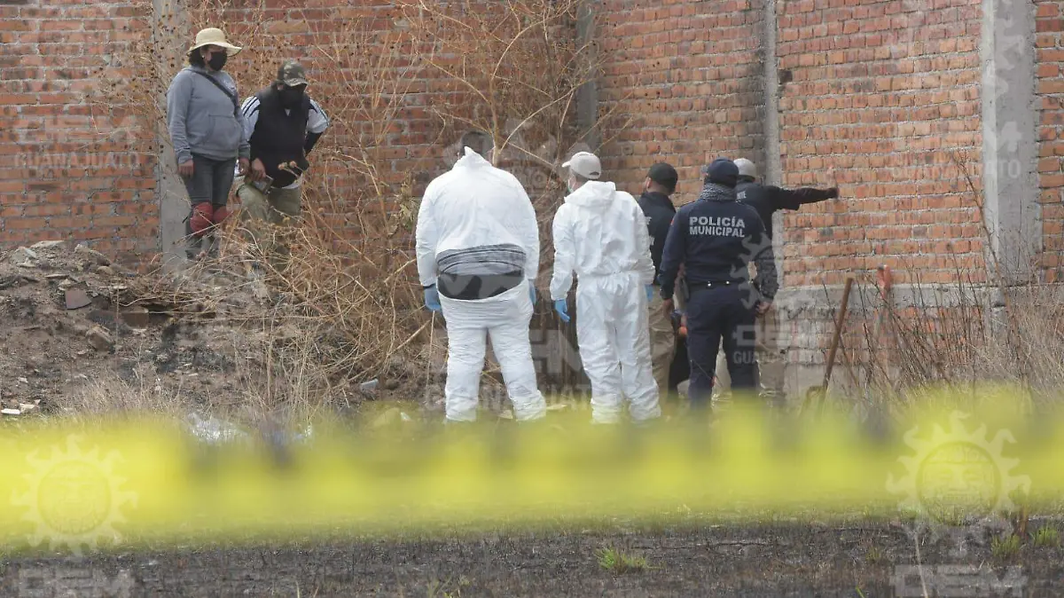 WhatsApp Image 2022-02-12 at 2.55.14 PM (1)