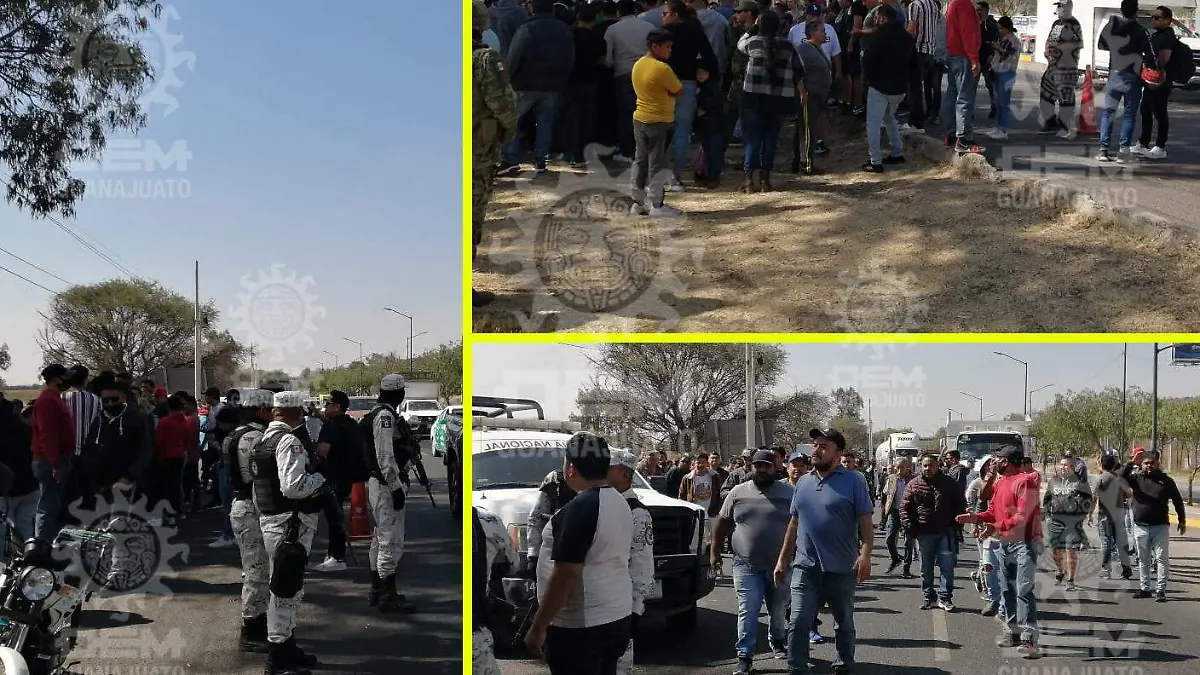 WhatsApp Image 2023-02-17 at 11.44.03 AM (1)