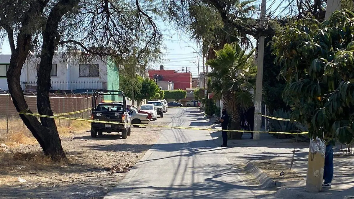 WhatsApp Image 2023-01-14 at 4.33.32 PM