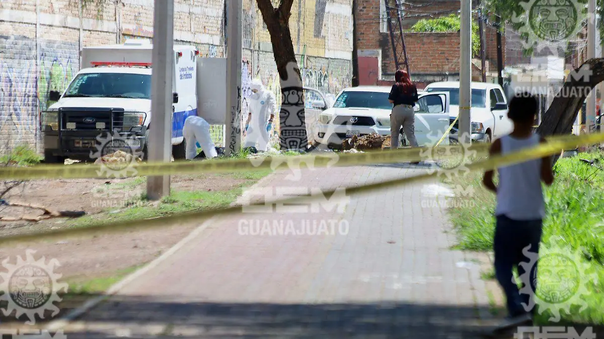 EMBOLSADO (1)