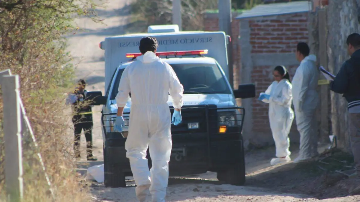 WhatsApp Image 2022-02-01 at 2.14.06 PM