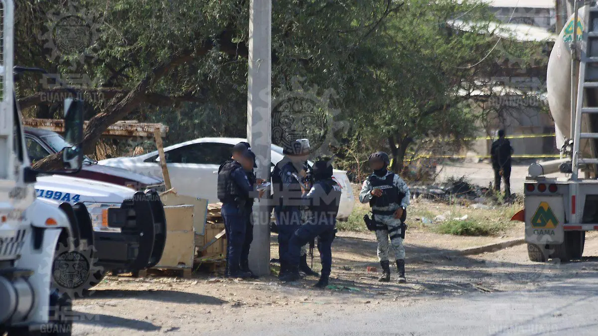 WhatsApp Image 2023-06-23 at 9.59.45 AM