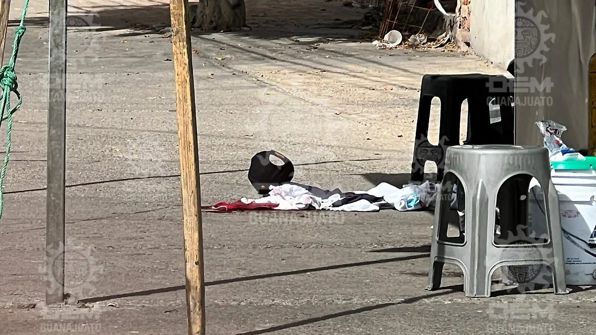 WhatsApp Image 2023-01-02 at 11.45.15 AM