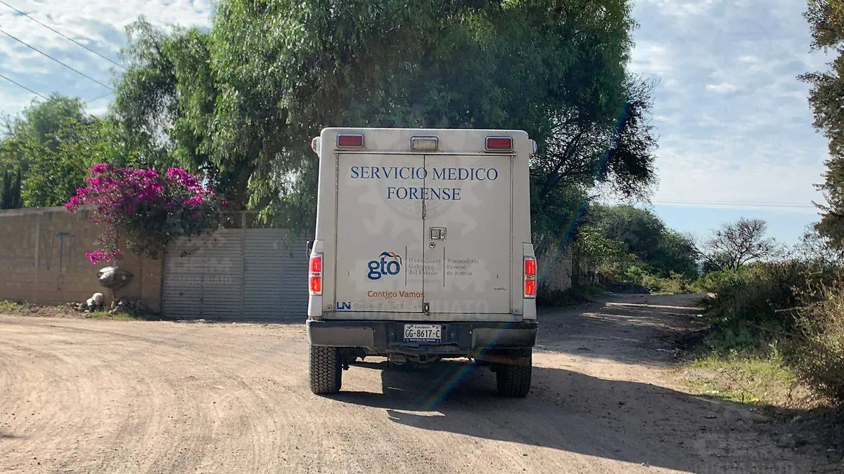 WhatsApp Image 2021-10-28 at 11.16.21 AM