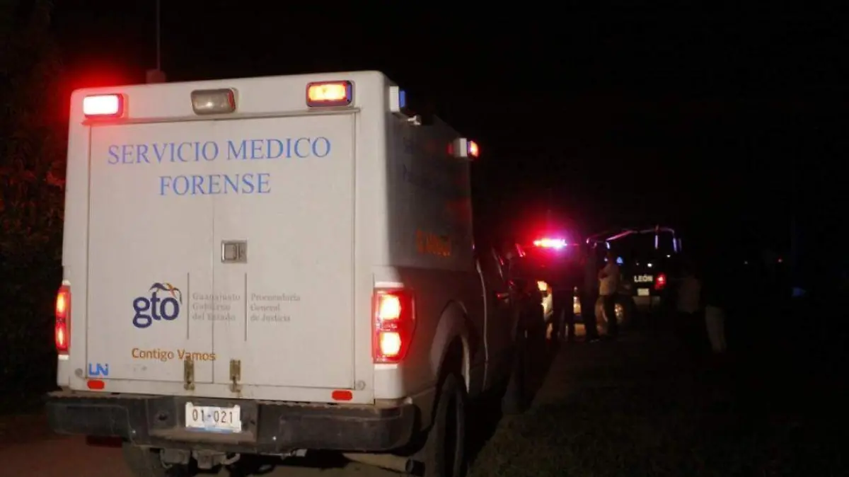 WhatsApp Image 2022-12-07 at 10.49.10