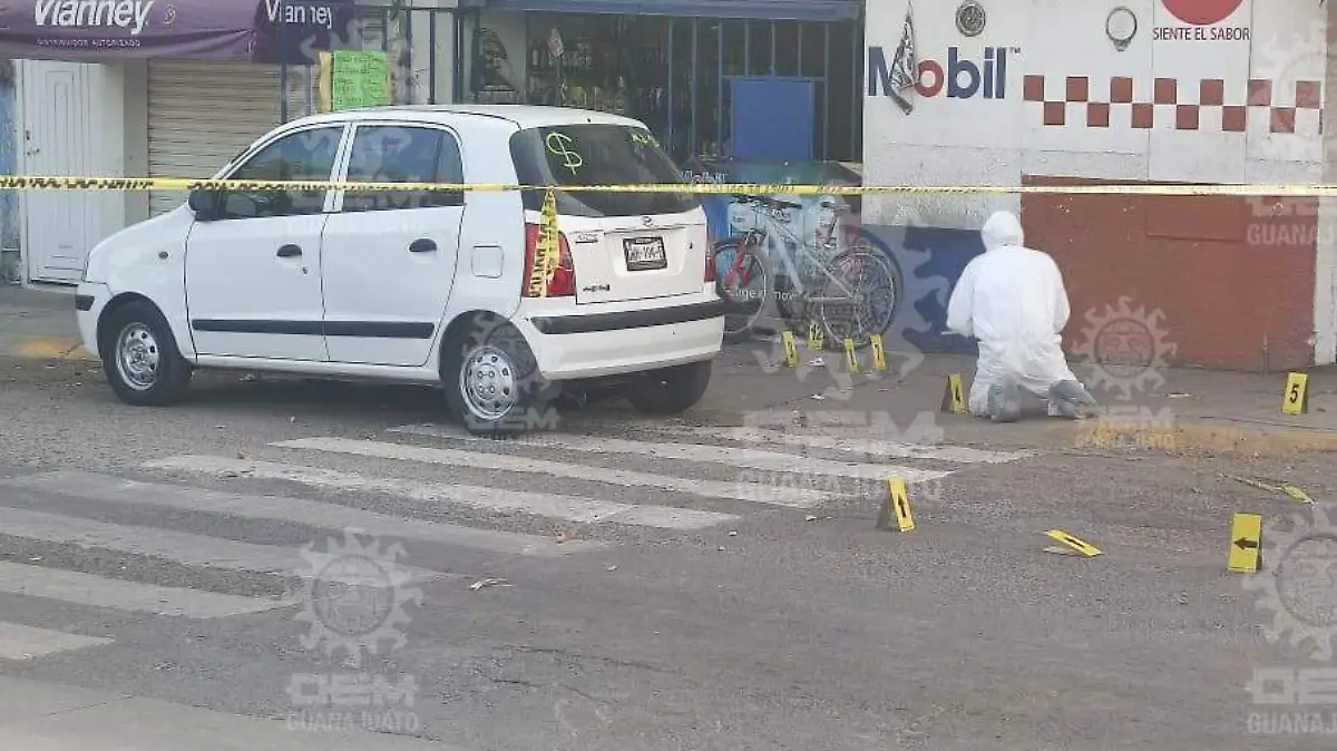 WhatsApp Image 2023-03-02 at 6.49