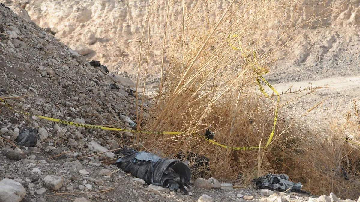 WhatsApp Image 2022-04-19 at 6.28.30 PM