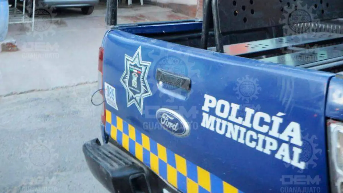 WhatsApp Image 2021-10-14 at 1.00.37 PM