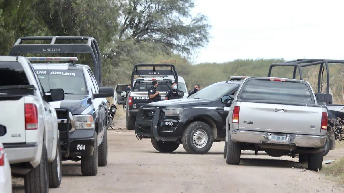 WhatsApp Image 2023-11-06 at 2.33.50 PM