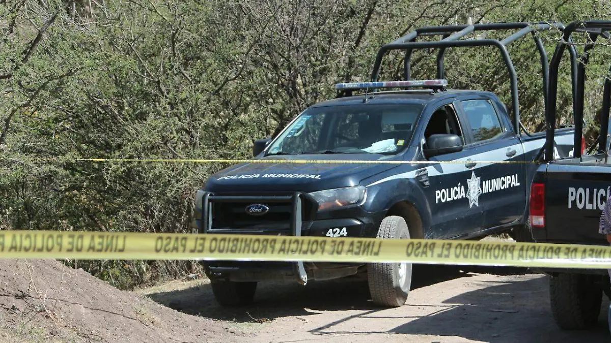 ILUSTRATIVA MUERTOS SILAO