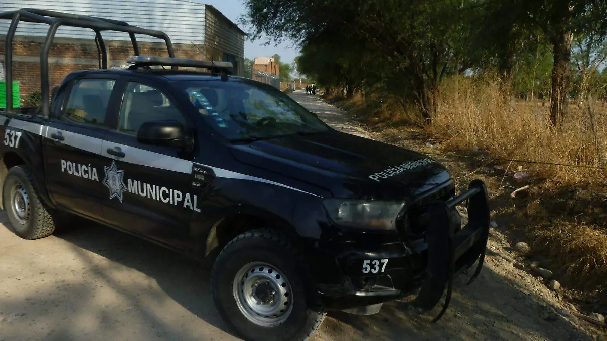 LOS LOPEZ- ILUSTRATIVA