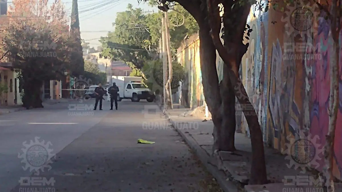 WhatsApp Image 2023-01-05 at 9.14.50 AM