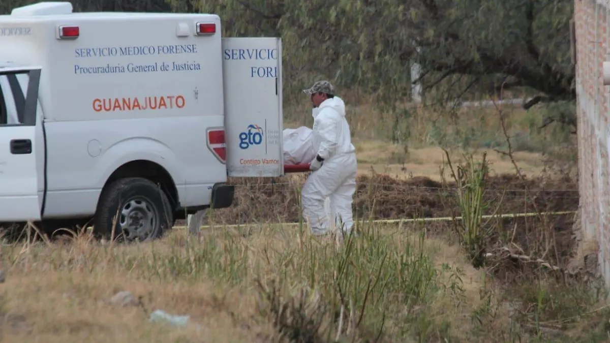 ILUSTRATIVA LOS PEDROZA (3)