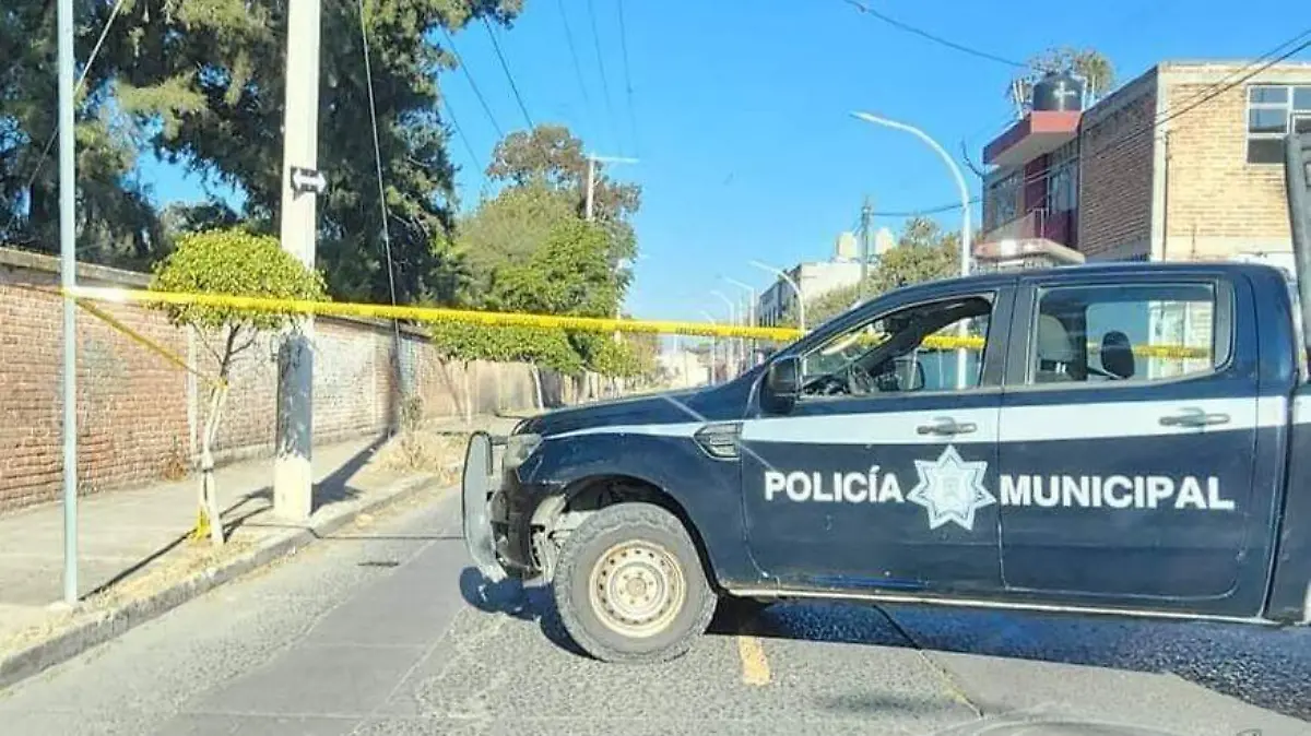 WhatsApp Image 2022-12-08 at 10.44.20