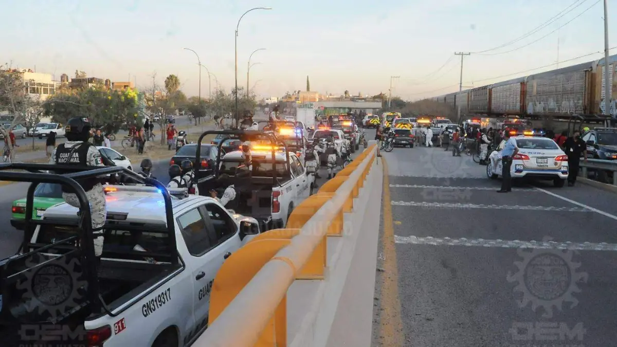 WhatsApp Image 2021-12-11 at 5.55.28 PM