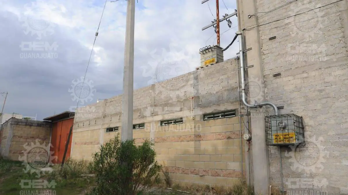 WhatsApp Image 2022-07-25 at 9.50.56 PM