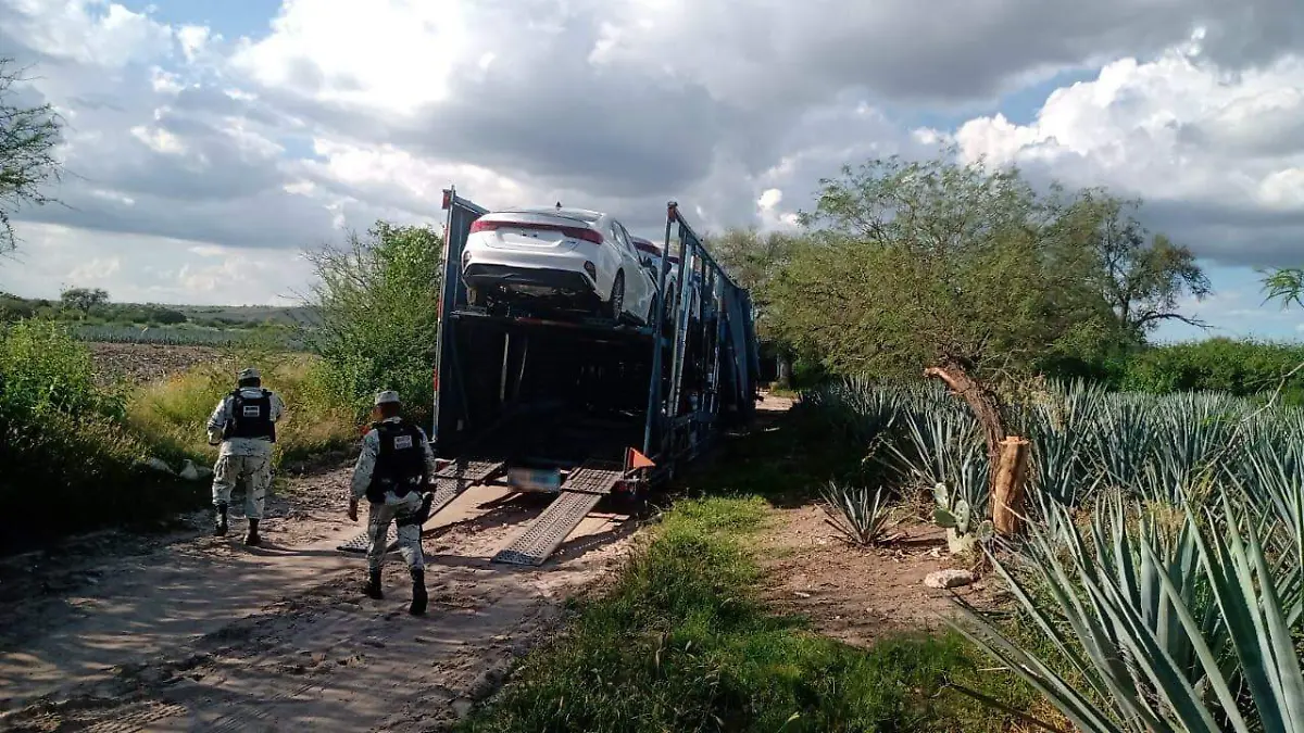 WhatsApp Image 2021-09-27 at 11.53.12 PM