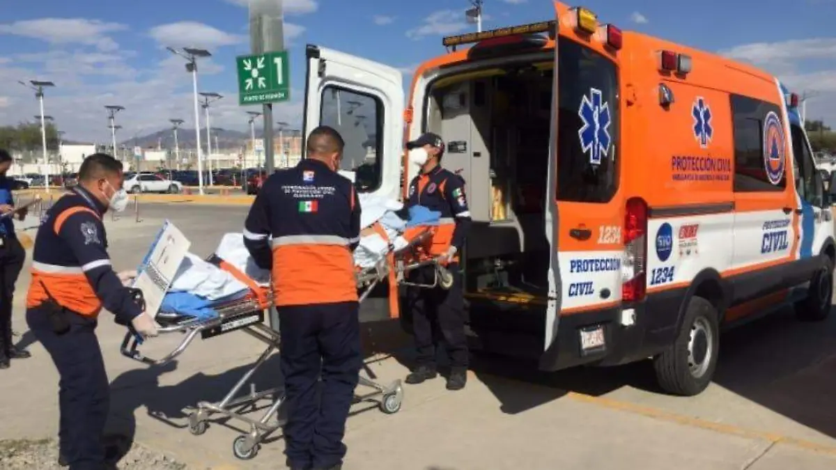 CORTESIA SUEG - PEREGRINOS (3)