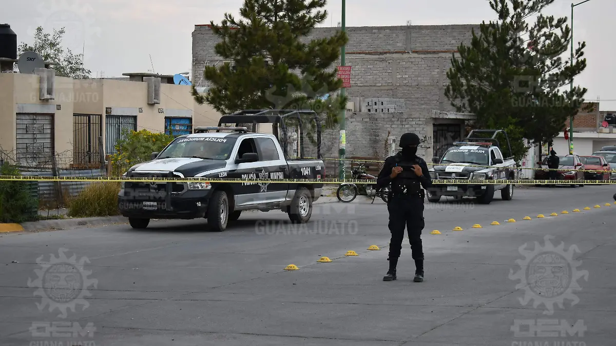 MARQUESA ILUSTRATIVA