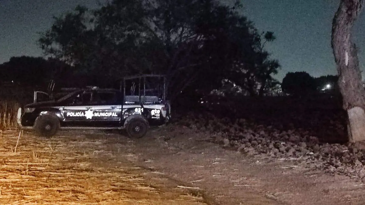 WhatsApp Image 2023-02-27 at 10.49.07 PM