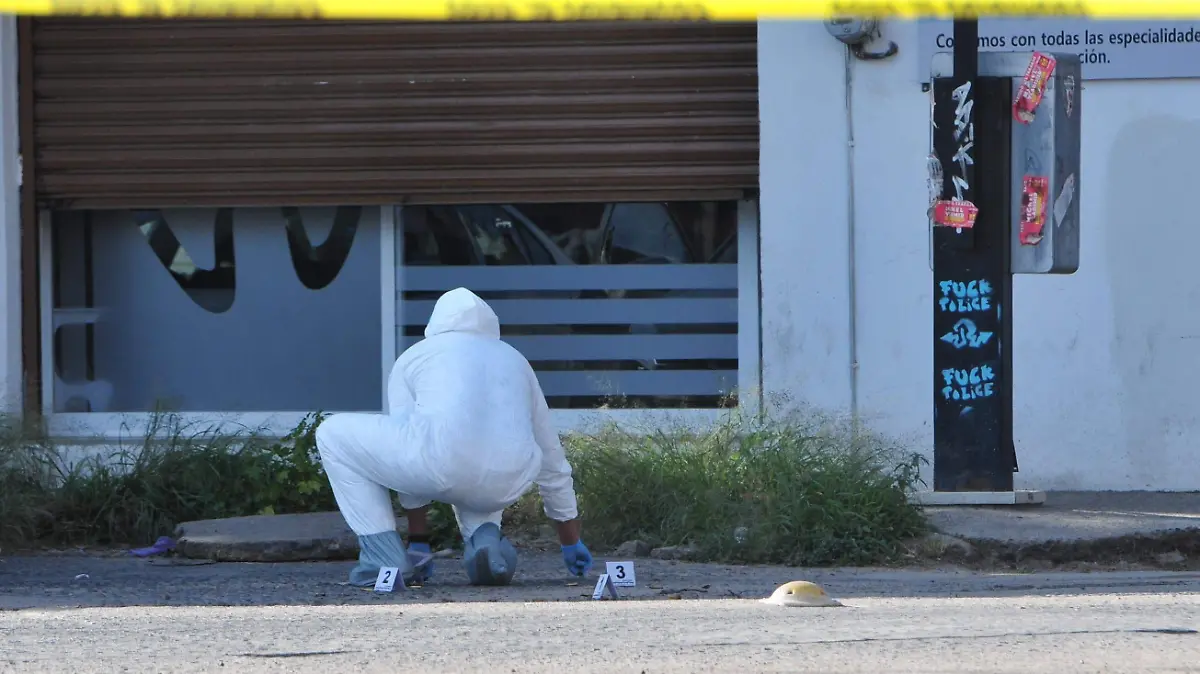 HOMICIDIO MANZANARES 2