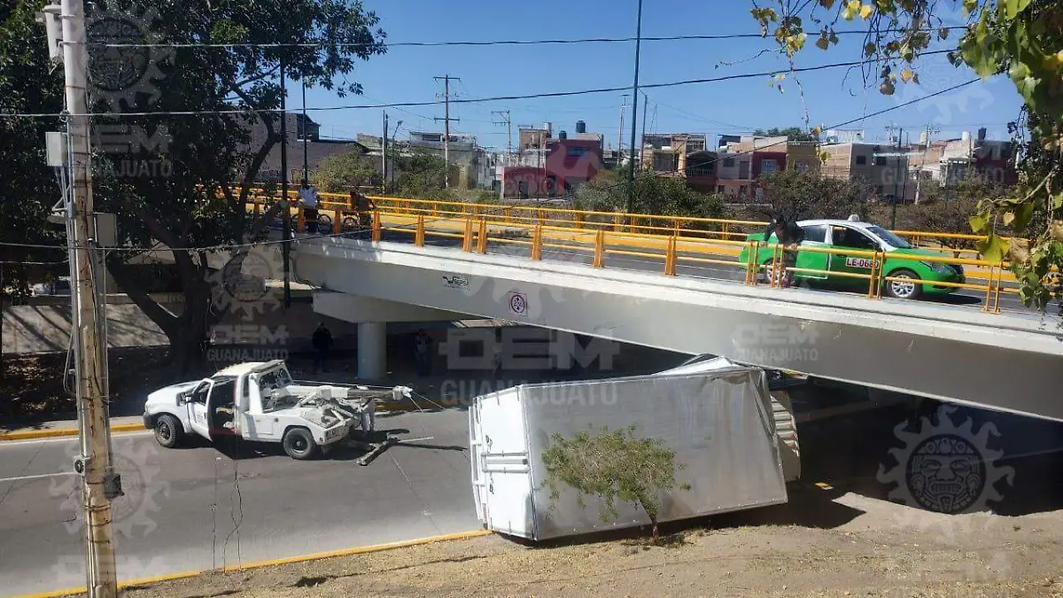 WhatsApp Image 2023-01-25 at 12.31.16 PM