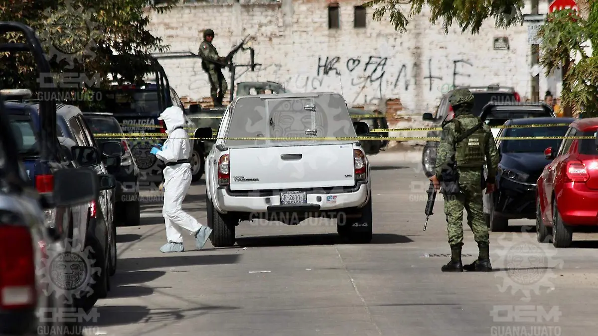 WhatsApp Image 2023-01-17 at 2.31.37 PM