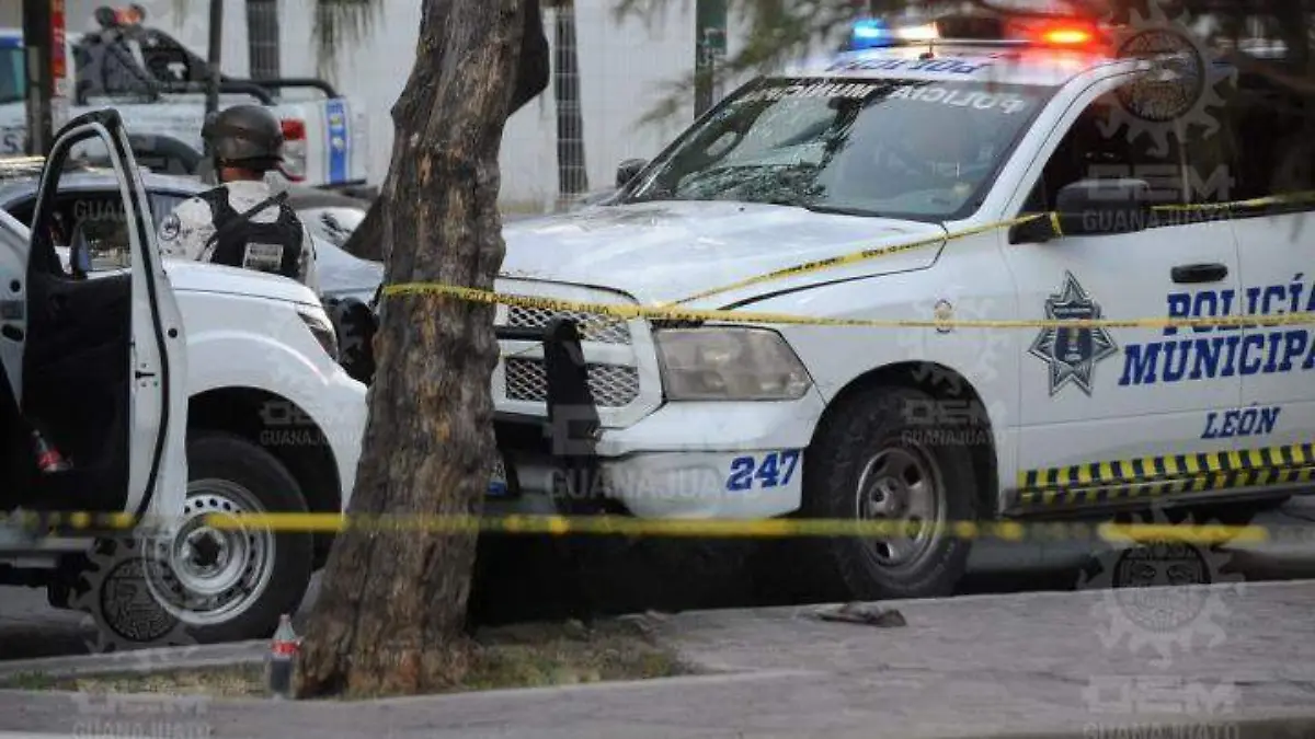 WhatsApp Image 2022-02-20 at 6.48.53 PM_cleanup