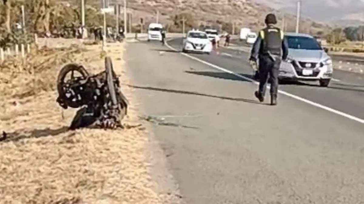 MUERTO EJE METROPOLITANO CORTESÍA  (1)