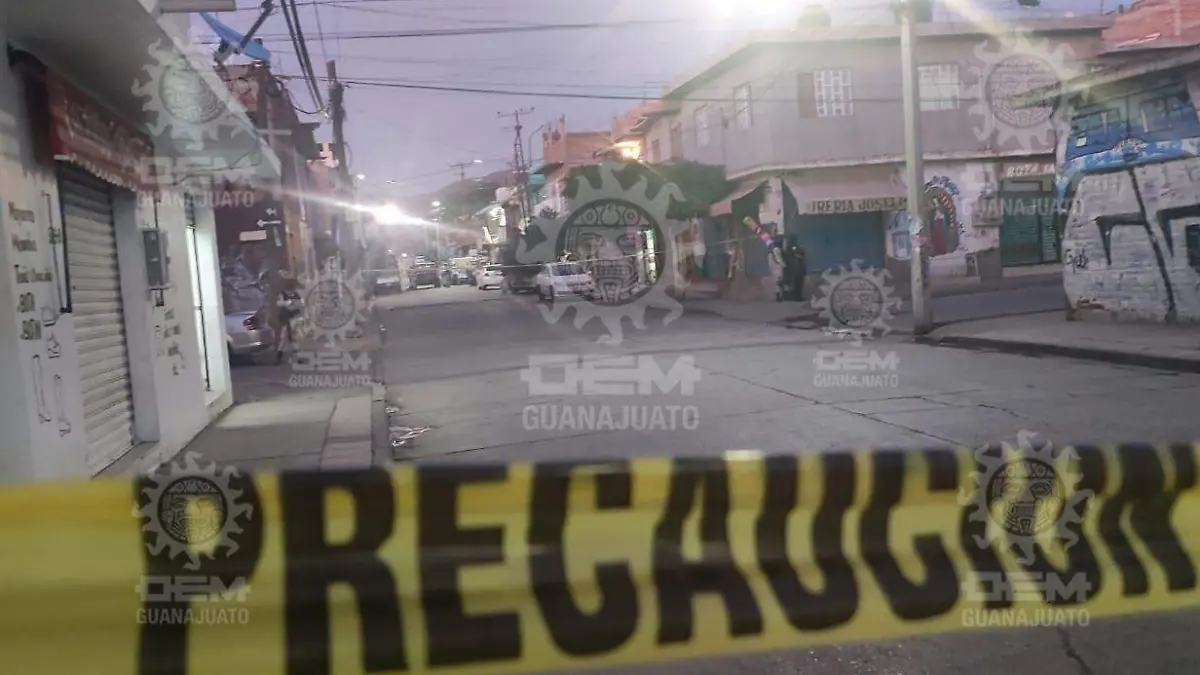 WhatsApp Image 2023-03-02 at 7.47