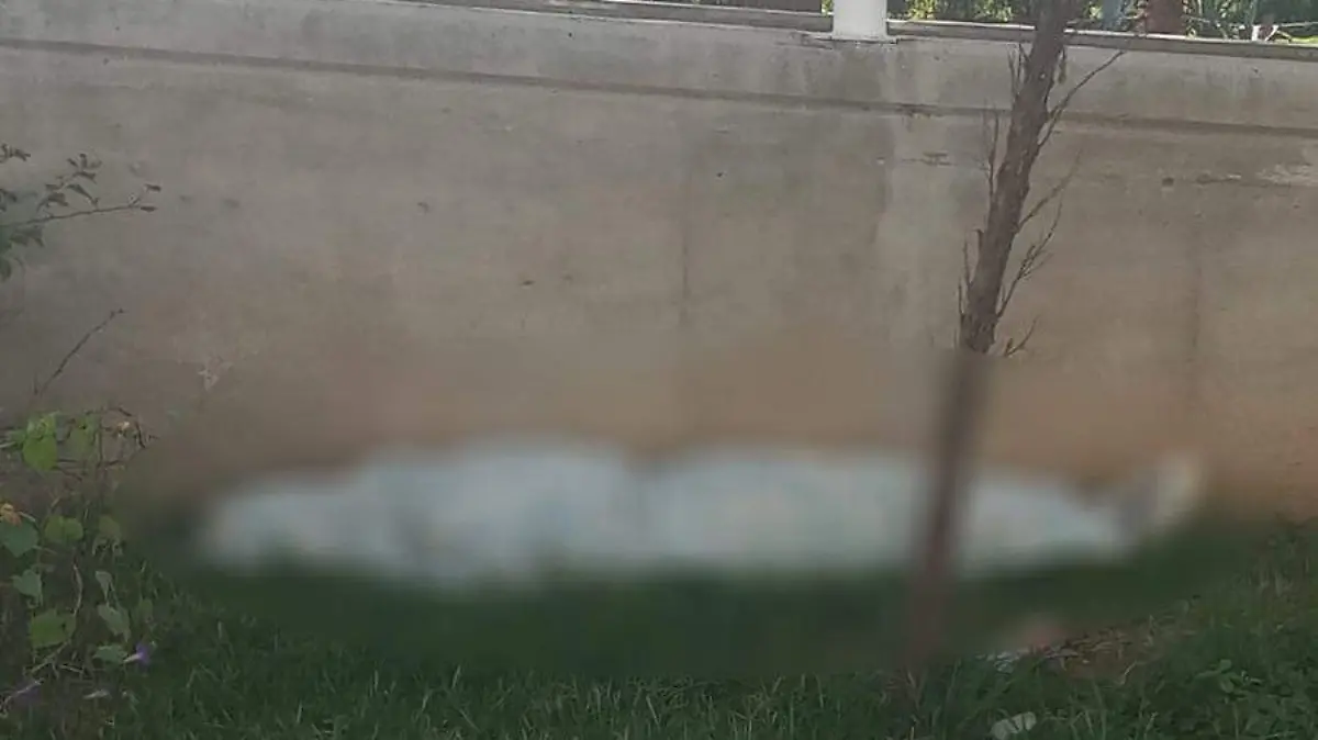 ensabanado foto cortesia