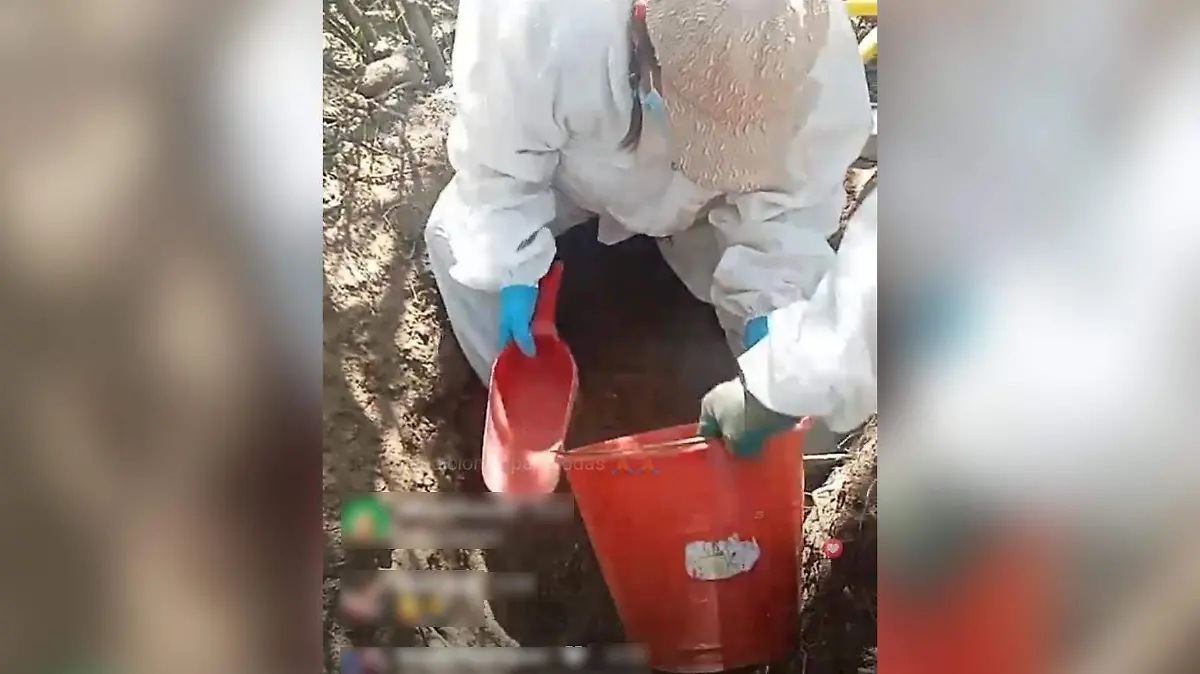 WhatsApp Image 2023-07-12 at 8.35.21 PM