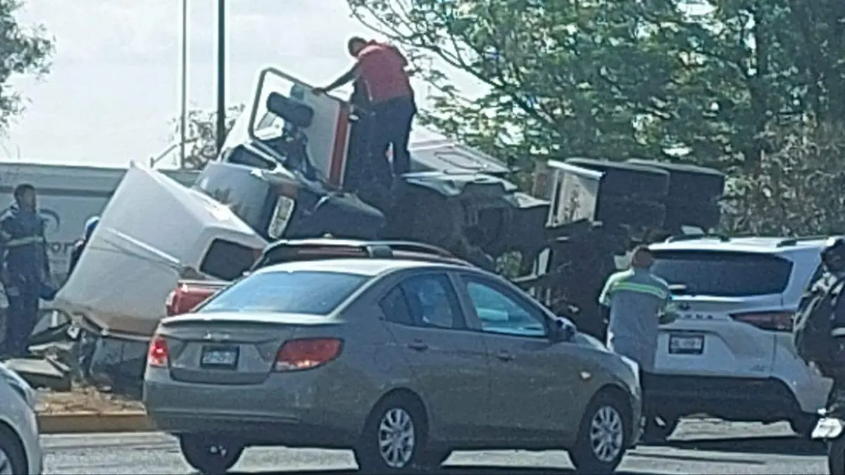 WhatsApp Image 2023-04-11 at 11.16.45 AM (1)