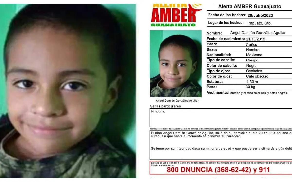 niño-desaparecido (2)