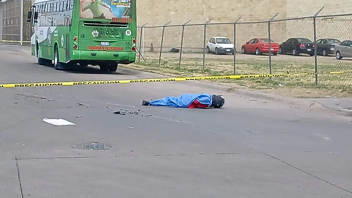 Imagen de WhatsApp 2023-09-29 a las 13.06.00_a6d2a965