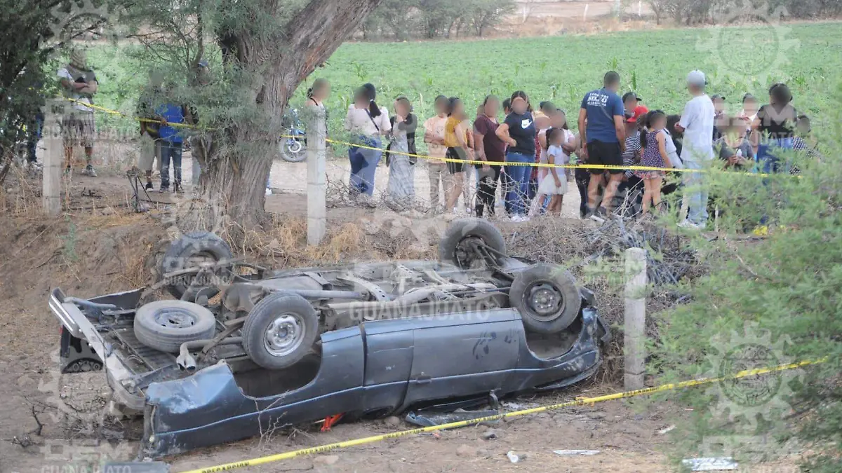 WhatsApp Image 2022-05-10 at 7.32.14 PM