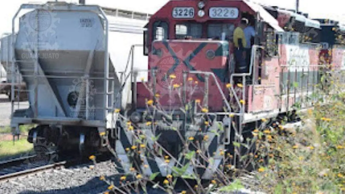 WhatsApp Image 2023-01-23 at 9.47.44 AM