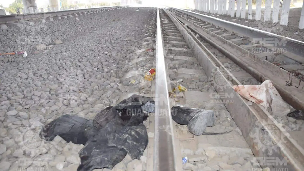 WhatsApp Image 2022-11-02 at 11.15.52 AM