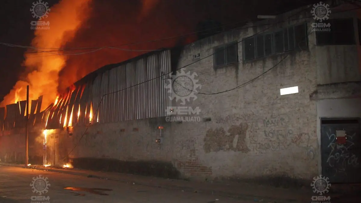 WhatsApp Image 2021-12-25 at 1.31.24 AM